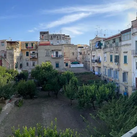 Reginella