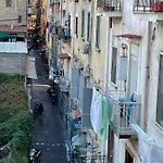 Reginella